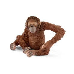 Schleich WILD LIFE Orang-oetan Vrouwtje 14775 6 Schleich WILD LIFE Orang-oetan Vrouwtje 14775 -Kinderspeelgoed Korting 1703913 002