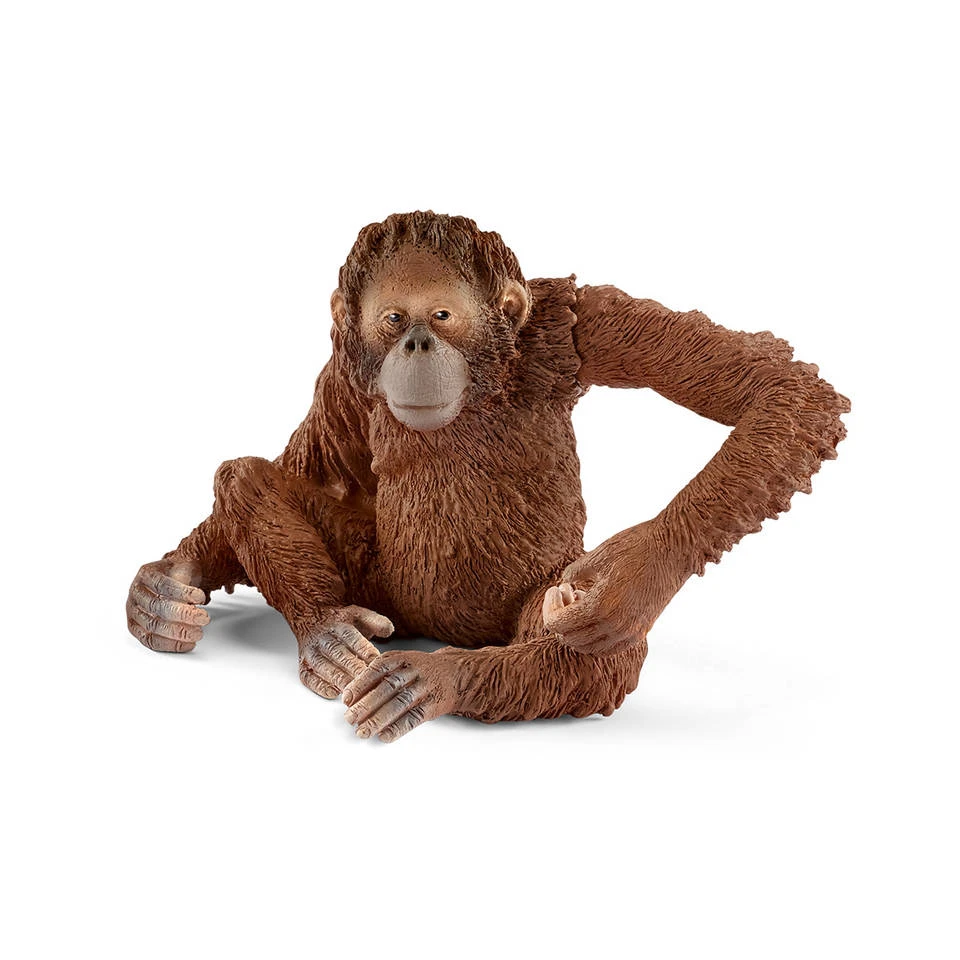 Schleich WILD LIFE Orang-oetan Vrouwtje 14775 4 Schleich WILD LIFE Orang-oetan Vrouwtje 14775 - Afbeelding 2