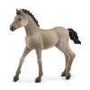 Schleich BAYALA Criollo Definitivo Veulen 13949 -Kinderspeelgoed Korting 1990312 7c852458