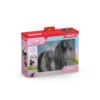 Schleich HORSE CLUB Criollo Definitivo Merrie 42581 -Kinderspeelgoed Korting 1992957 e245db6b