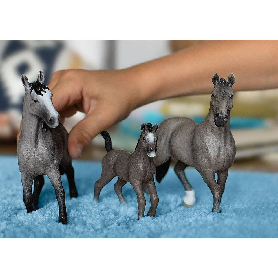 Schleich HORSE CLUB Selle Française-hengst 13956 4 Schleich HORSE CLUB Selle Française-hengst 13956 - Afbeelding 2