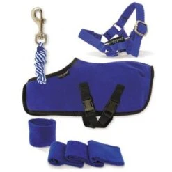 Crafty Ponies - Fleecedeken Set Blauw