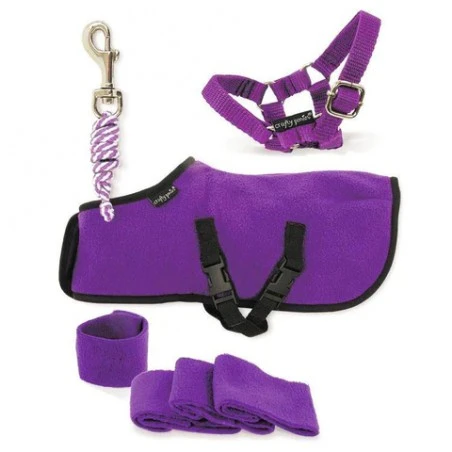Crafty Ponies - Fleecedeken Set Paars 3 Crafty Ponies - Fleecedeken Set Paars